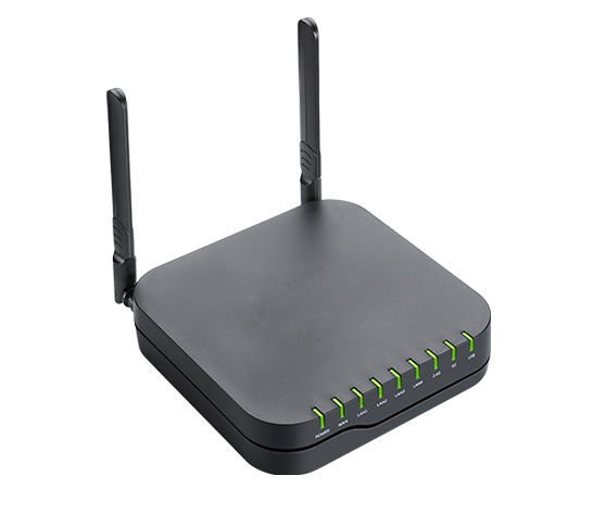 left view of VoIP router FPX9102H